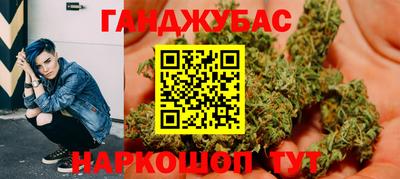 шишки Обь