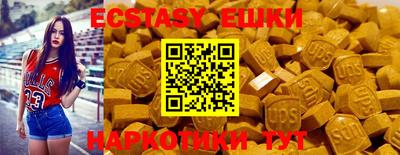 шишки Обь