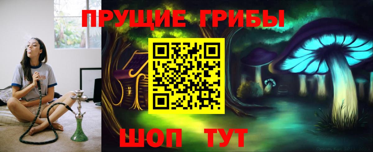 Тайшет  Псилоцибиновые грибы MAGIC MUSHROOMS  Вход с VPN 